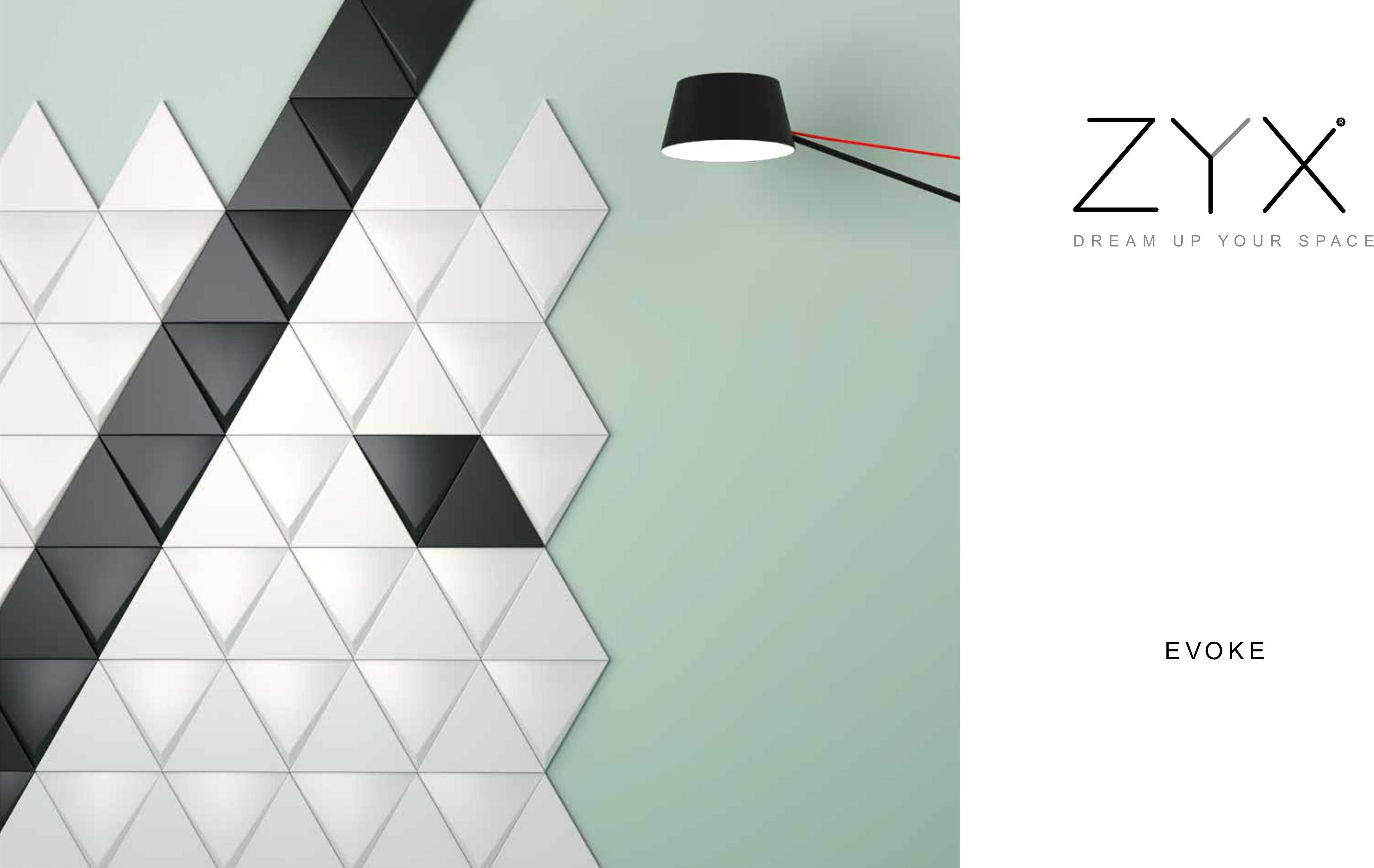 Evoke 2019 ZYX 