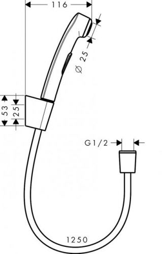 Гигиенический набор Hansgrohe 32129000 (цвет хром)